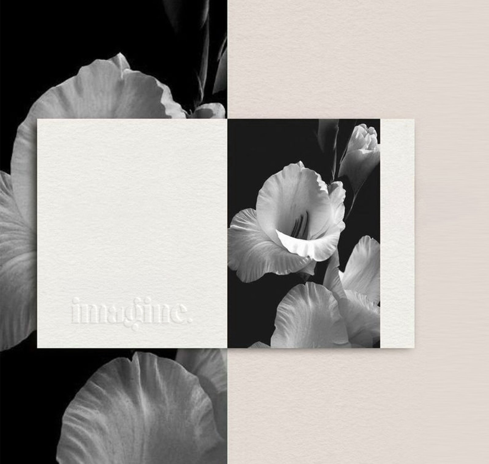 Imagine Studio Design